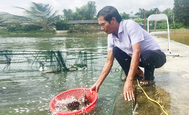 Khởi nghiệp ở tuổi xế chiều