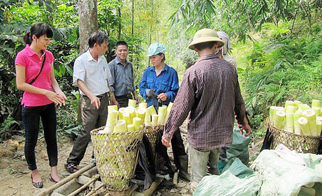 HTX Kiên Thành nâng tầm sản phẩm thế mạnh của địa phương