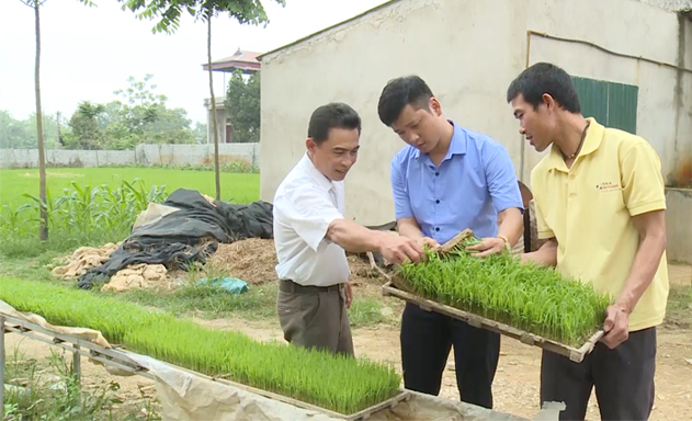 HTX Toàn Năng (Thanh Hóa): Năng động để phát triển toàn diện