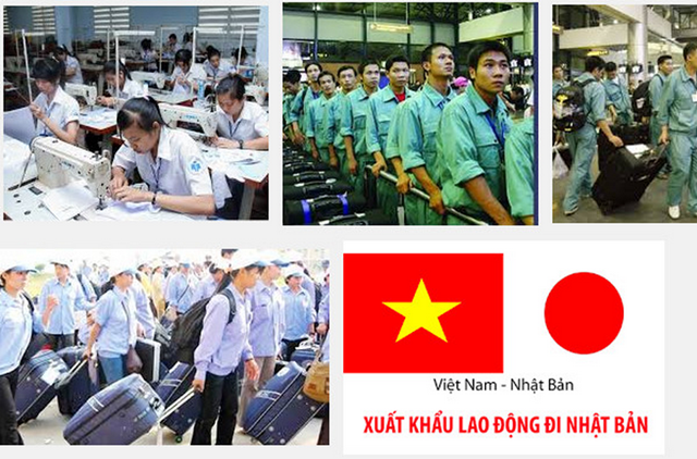 2 doanh nghiệp bị xóa tên khỏi danh sách được đưa lao động sang Nhật