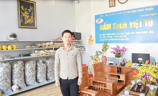 Bỏ việc công ty, khởi nghiệp với trồng nấm