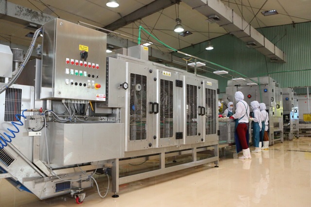 Trung tâm chế biến rau quả Doveco Gia Lai chính thức hoạt động