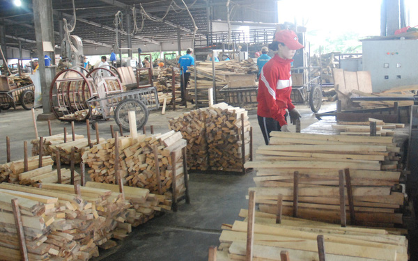 Đề xuất rà soát tổng thể hoạt động của các DN FDI trong ngành gỗ