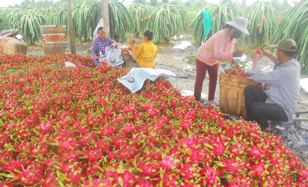 Vì đâu nông thủy sản nghẽn đường sang Trung Quốc?