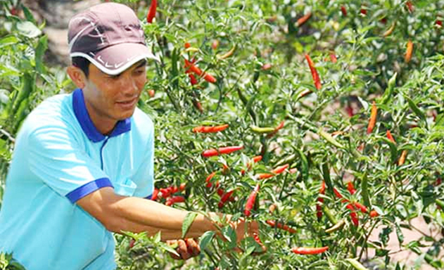 HTX Nghĩa Thuận: Nhân lực là chìa khóa thành công