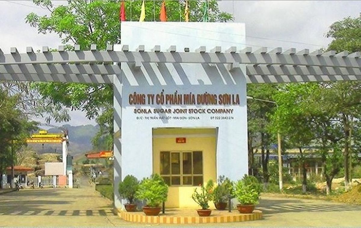 Cổ phiếu SLS bứt phá nhờ Mía đường Sơn La lãi lớn