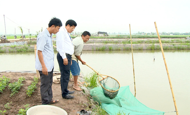HTX Yên Hòa phát triển bền vững từ chuỗi giá trị