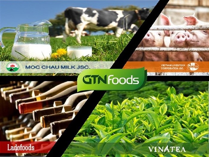Cổ phiếu GTN của GTNfoods gây bất ngờ phiên đầu tuần