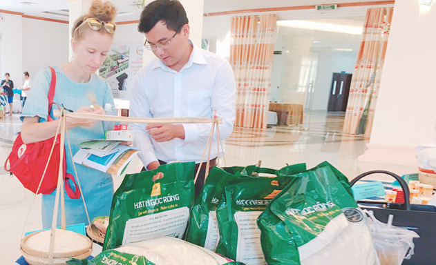 Lập HTX để hiện thực hóa ước mơ trên giảng đường đại học