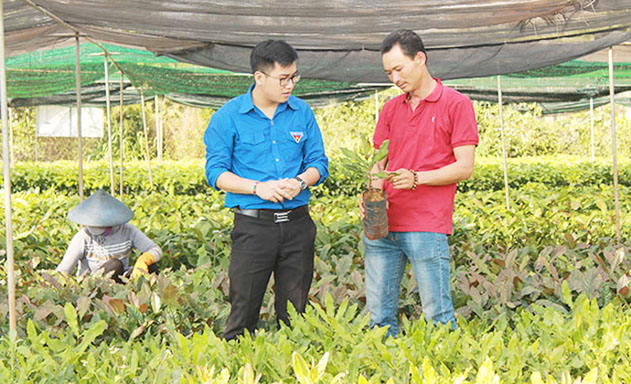 Sức bật cho KTHT từ những người trẻ khởi nghiệp