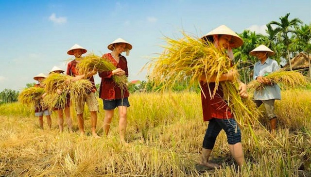 Khi nông dân làm du lịch