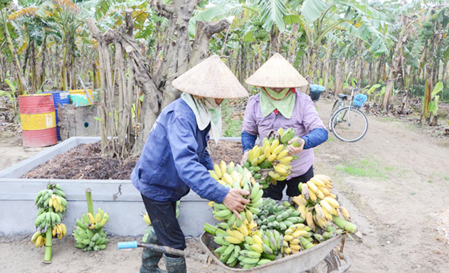 Bắc Ninh thúc đẩy NTM từ nông nghiệp công nghệ cao