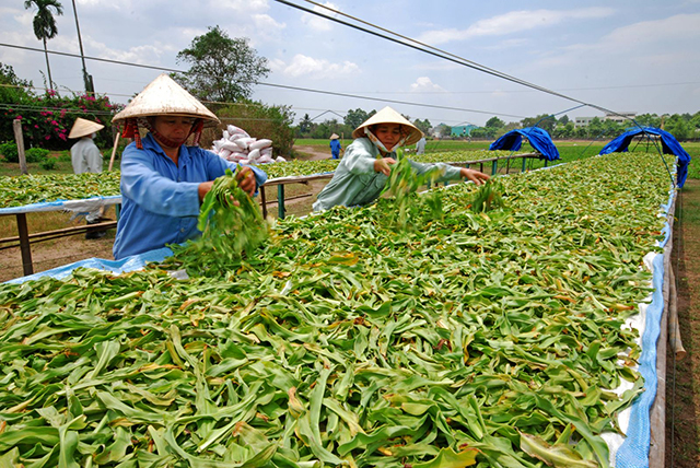 Tăng hiệu quả đào tạo nghề ở Bắc Giang