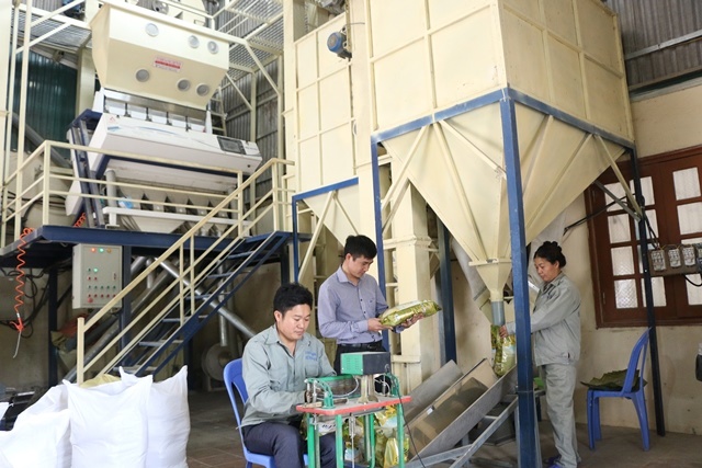 Sức lan tỏa từ công tác đào tạo nghề cho lao động nông thôn