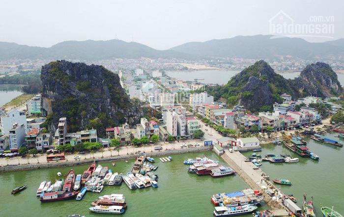 Quảng Ninh đồng ý chủ trương quy hoạch dự án Vega City Vân Đồn