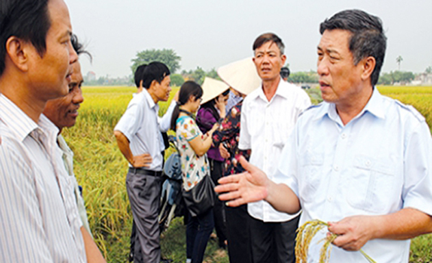 Thái Bình tăng cường liên kết trong công tác đào tạo nghề