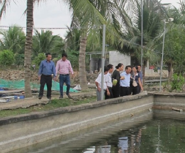 Lớp đào tạo nghề nuôi cá Chình giúp người dân làm giàu