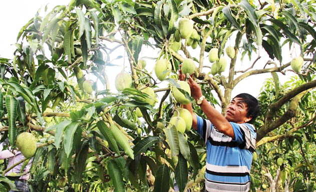 'Trao cần câu hơn xâu cá' để phụ nữ khởi nghiệp
