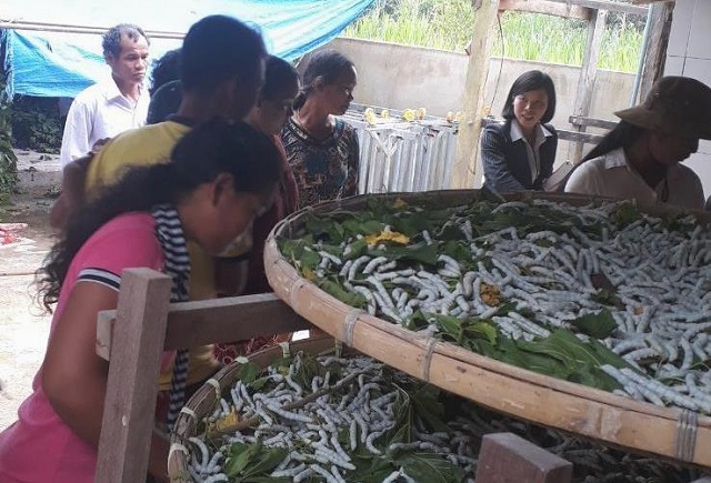 Lâm Đồng: Hơn 28 nghìn lao động được đào tạo nghề nông nghiệp