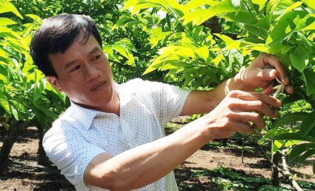 Mai Sơn, Sơn La chú trọng sản xuất bền vững