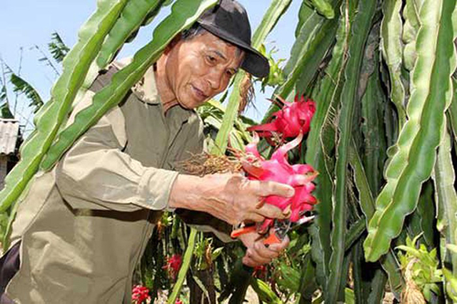 Hà Tĩnh linh hoạt trong xây dựng mô hình đào tạo nghề