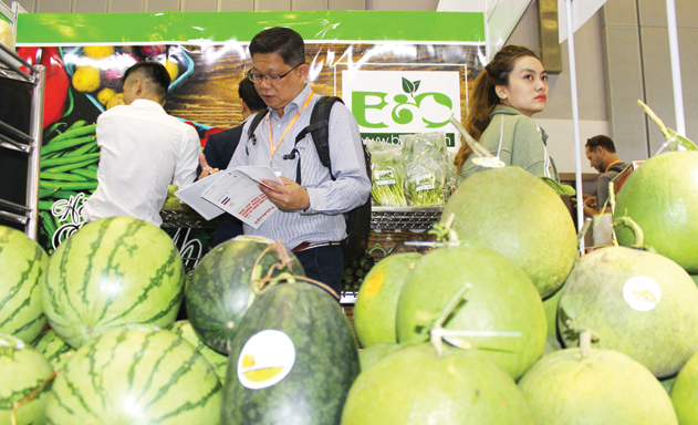 Doanh nghiệp mù mờ thông tin mới