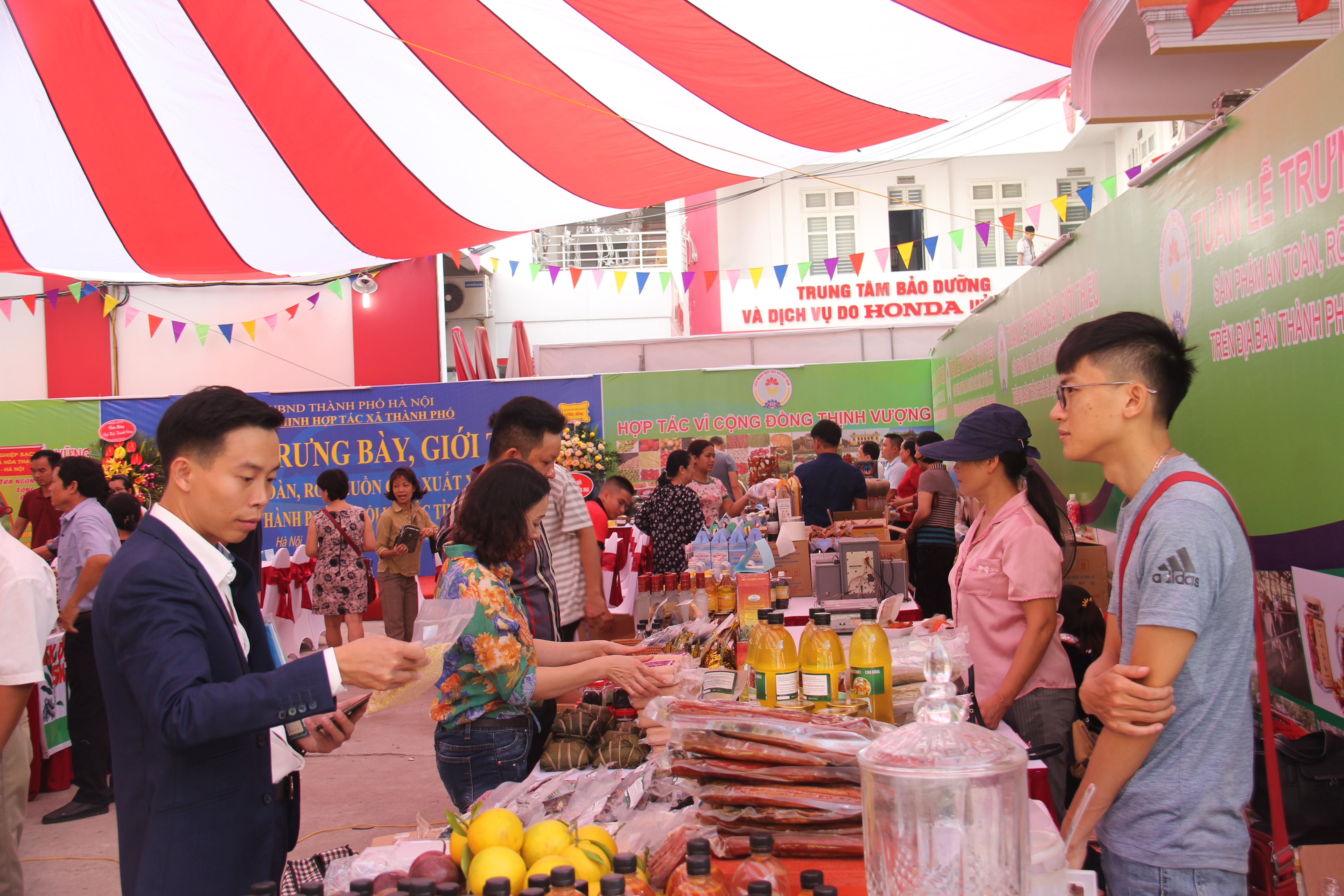 Liên minh HTX Tp Hà Nội xây dựng 121 chuỗi liên kết an toàn thực phẩm từ sản xuất đến tiêu thụ