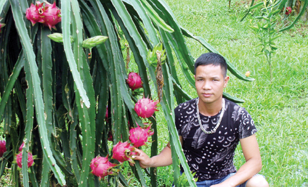Nhân rộng mô hình HTX do thanh niên làm chủ