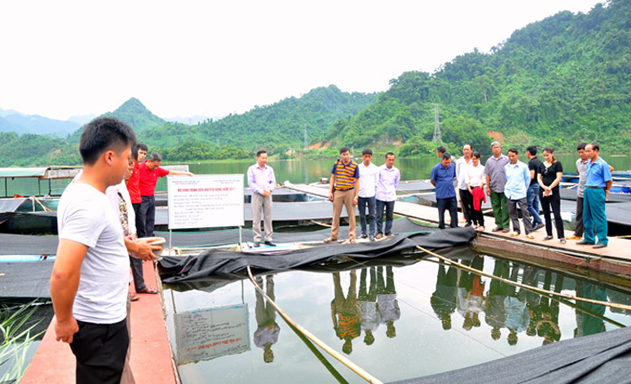 Na Hang, Tuyên Quang thúc đẩy dạy nghề cho người dân tộc thiểu số