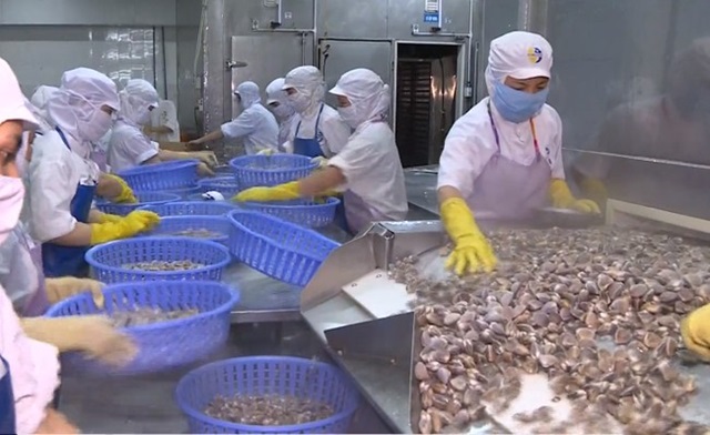 Thêm 3 loại thủy sản được xuất khẩu sang thị trường Trung Quốc