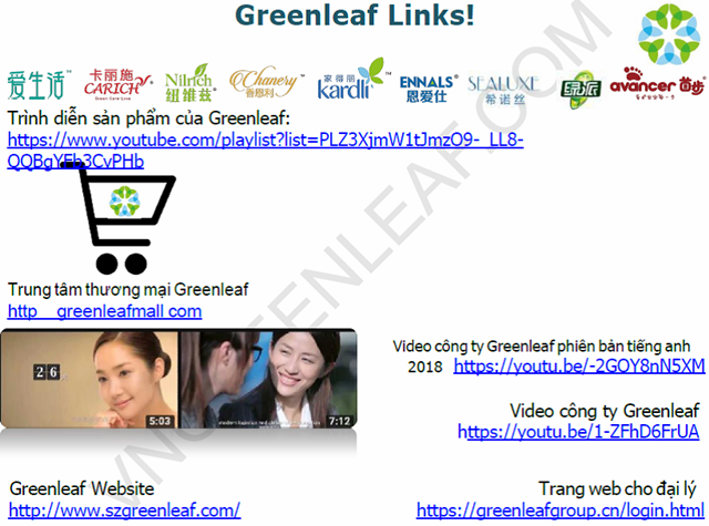 Bộ Công Thương khuyến cáo 'bẫy lừa' kinh doanh đa cấp qua Greenleafgroup.cn