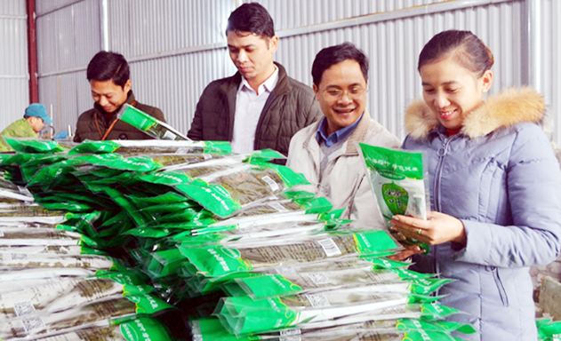Nông dân đưa sản phẩm của HTX ra nước ngoài