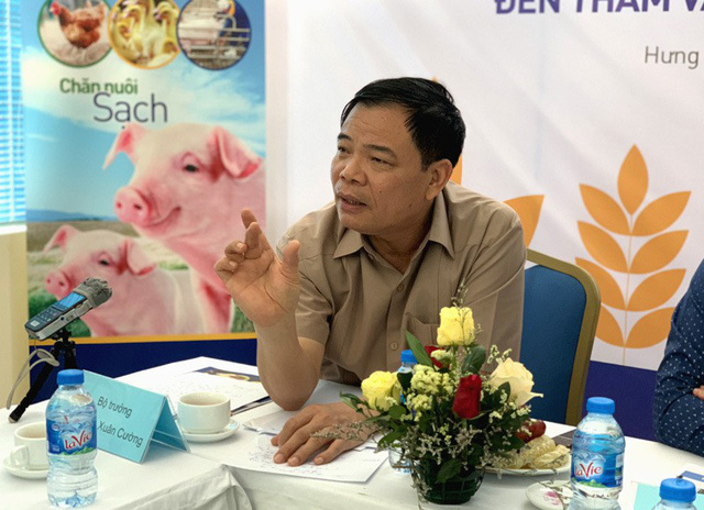 Không được xuất khẩu tiểu ngạch lợn sang Trung Quốc