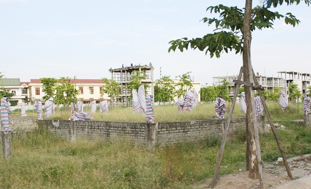 Bẫy đất nền vẫn luôn rình rập