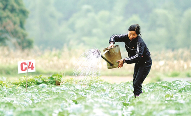 Tràng Định, Lạng Sơn đẩy mạnh phát triển HTX gắn với xây dựng NTM