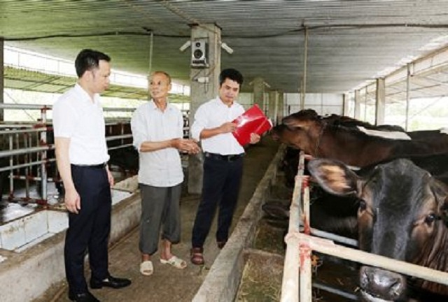 Nong-thon-moi-2-2679-1571650020.jpg