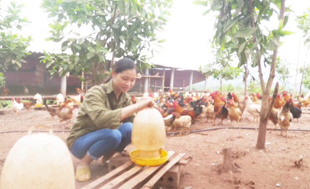 Những mô hình do phụ nữ làm chủ cho thu nhập khủng