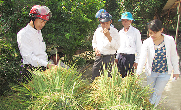 Núi Thành, Quảng Nam: HTX phát triển OCOP, thúc đẩy nông thôn mới