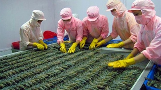 Xuất khẩu tôm sang EU giảm rất mạnh