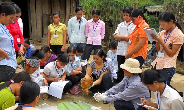Chợ Mới: Tìm lời giải trong đào tạo nghề cho lao động nông thôn