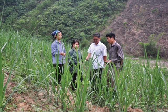 Để người dân không ỷ lại vào Nhà nước
