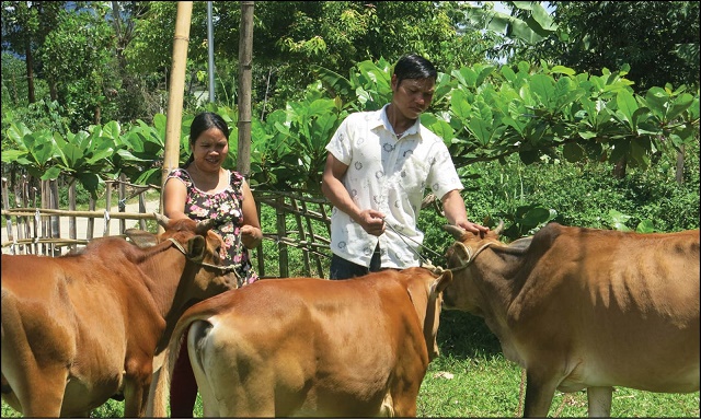 Vân Canh, Bình Định: Từng bước giảm nghèo chính đáng