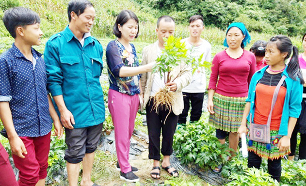 Phuong-thuc-dao-tao-phu-hop-gi-8490-8554