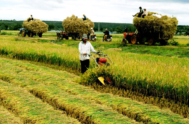 Lao động giỏi góp phần tích cực xây dựng nông thôn mới