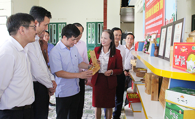Hỗ trợ phát triển HTX là mục tiêu và ý nghĩa lớn lao