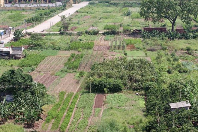 Giá đất Hà Nội có thể tăng đến 30% từ năm 2020