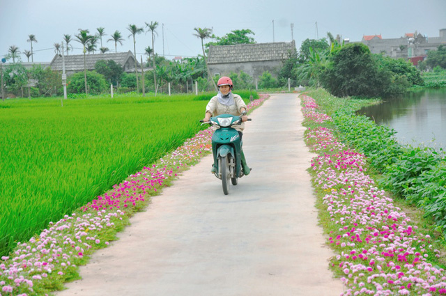 Nong-thon-moi-bat-dau-tu-y-thu-9421-1904