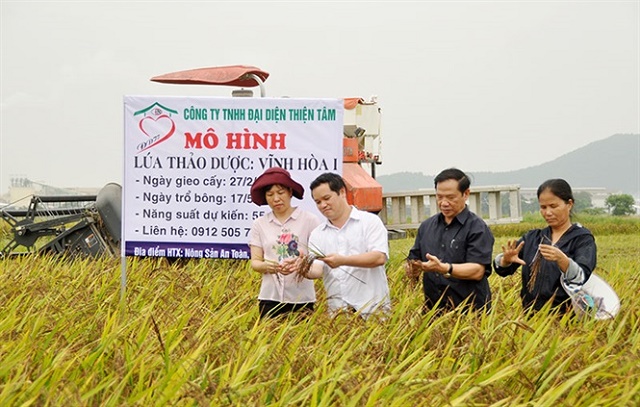 Quế Võ (Bắc Ninh): Liên kết bền vững, hoàn thiện nông thôn mới