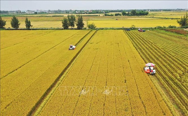 Nền tảng quan trọng xây dựng nông thôn mới bền vững