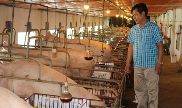 Sạch từ chăn nuôi đến ý thức